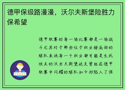 德甲保级路漫漫，沃尔夫斯堡险胜力保希望