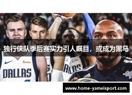 独行侠队季后赛实力引人瞩目，或成为黑马